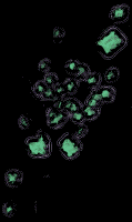 cellular drift