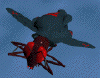 jet propelled bee