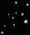 bubbles image