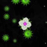 Constellation