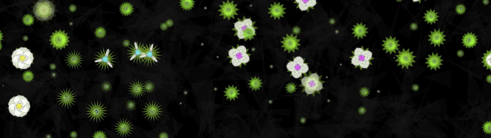 Constellation white