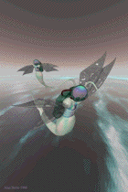 only the birds and the fishes are free