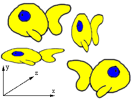 scale Phillipa