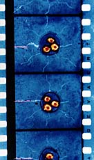 scratched film