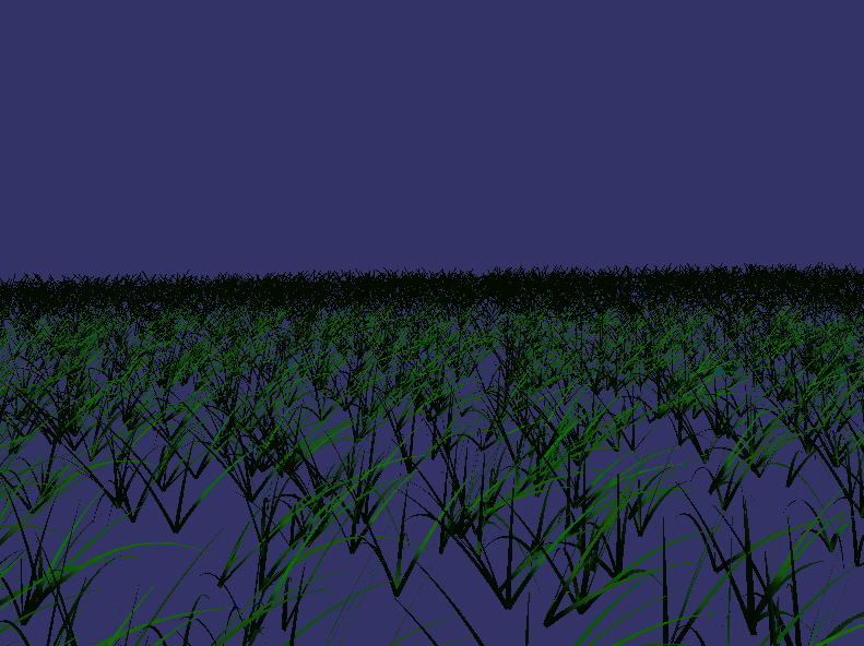 Grass