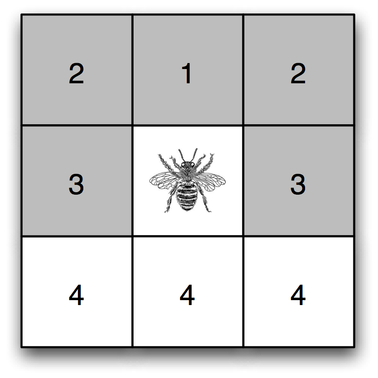 bee vision N