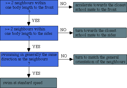 fish behaviour routine