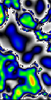 blue CA