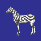 RD zebra