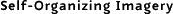 Self-Organizing Imagery