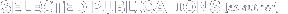 Selected Publications (as author)