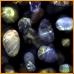 stones