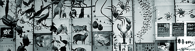 beyond the screen: strategies for visualising the impossible